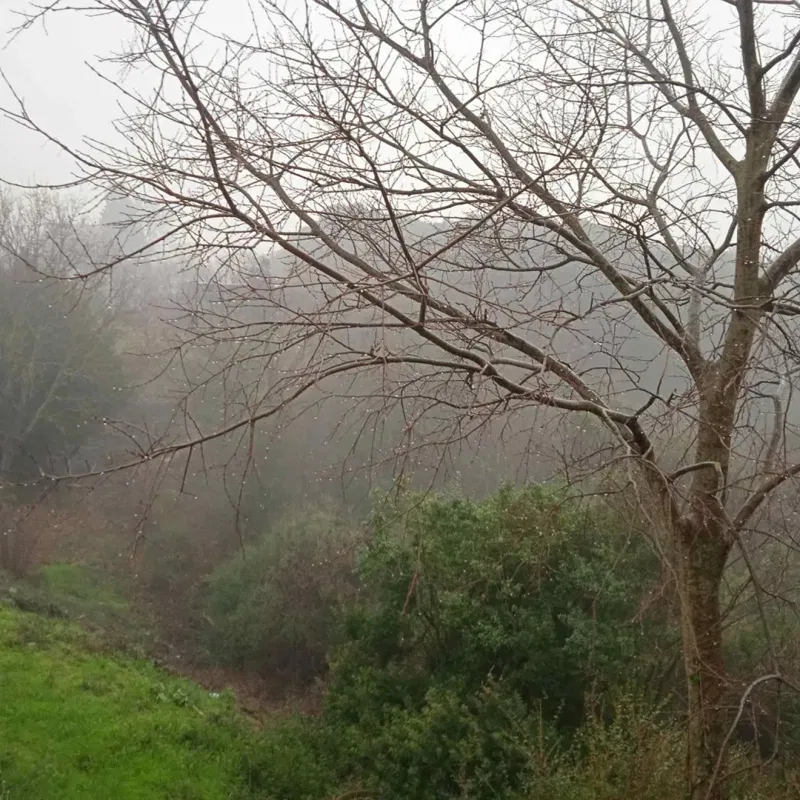 Terreno Pula – 2