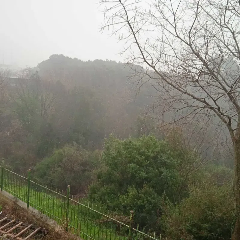 Terreno Pula – 3
