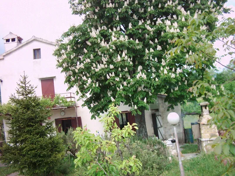 House Boljun, Lupoglav, 200m2 – 2