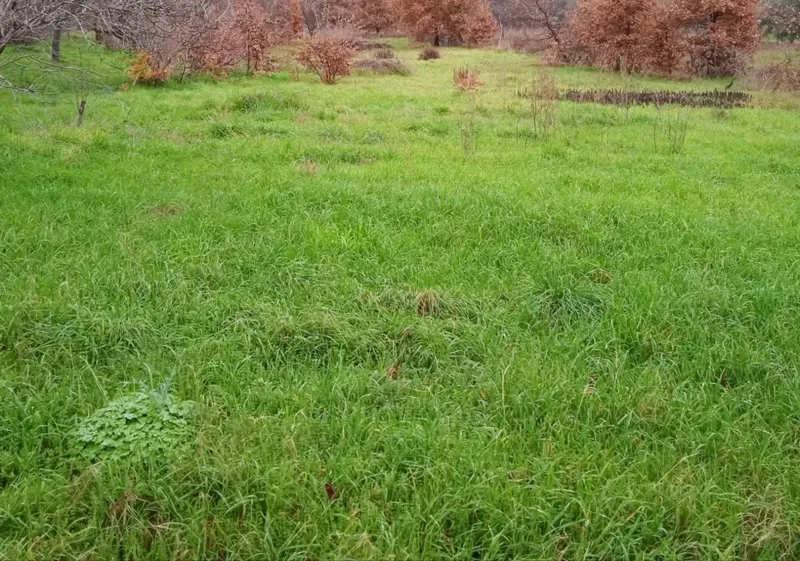Terreno Pula – 2