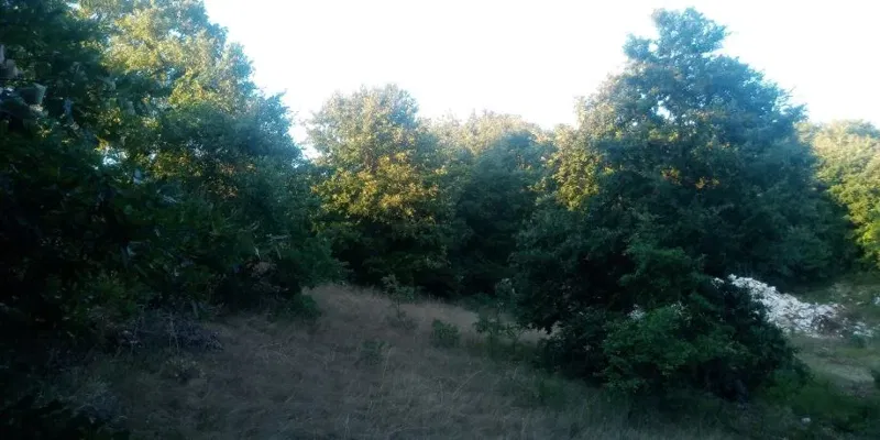 Land Svetvinčenat, 27.000m2 – 3