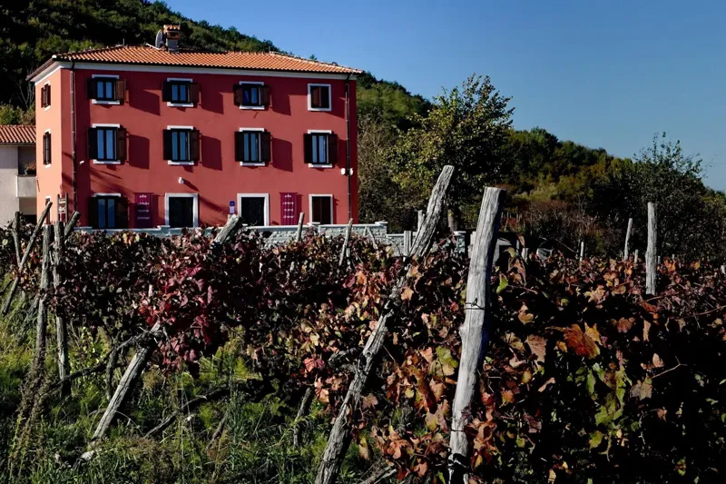 Business premise Motovun, 389m2 – 2