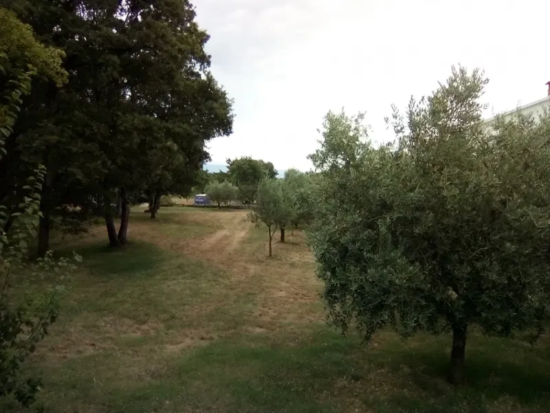 Land Rakalj, Marčana, 5.000m2 – 3