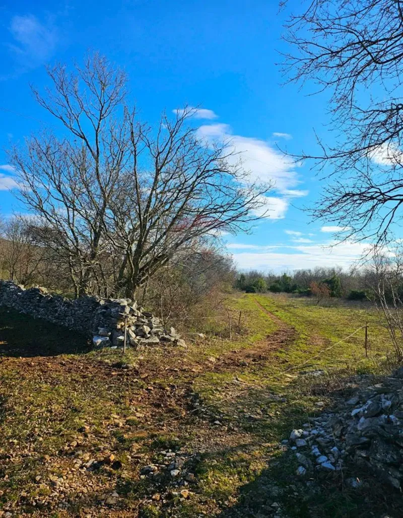 Działka Labin – 3