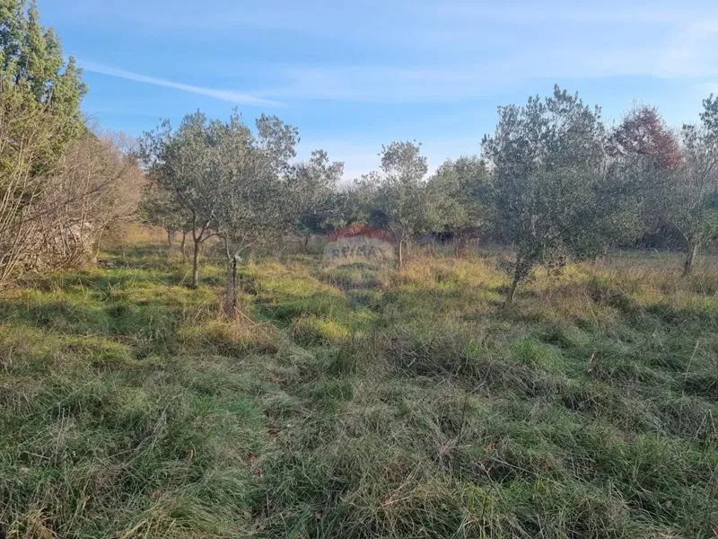 Telek Krnica – 2