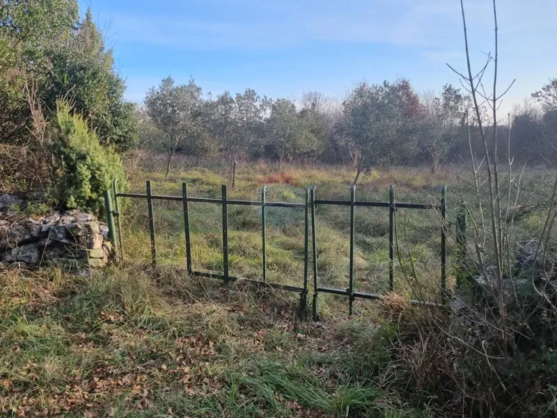 Telek Krnica – 3