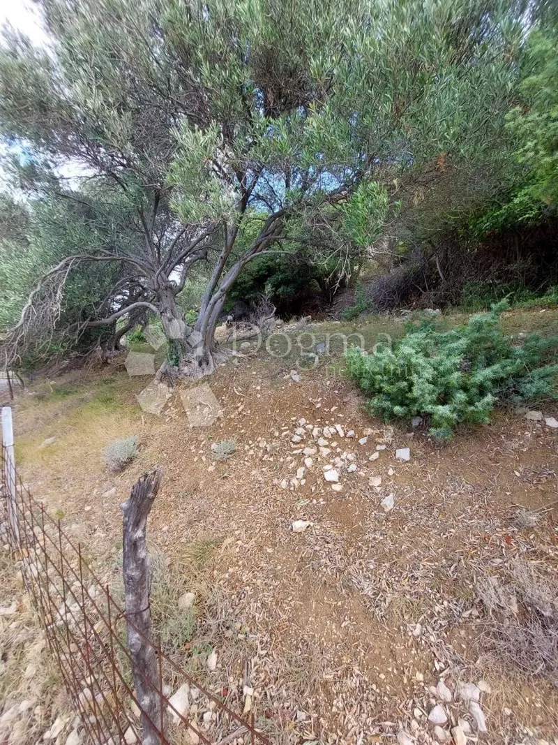 Land Mundanije, Rab, 1.482m2 – 2