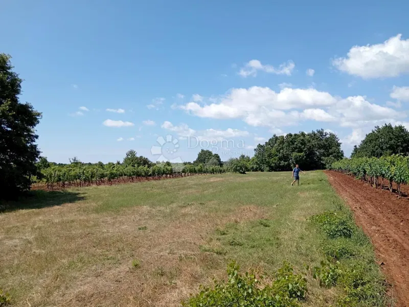 Land Juršići, Svetvinčenat, 1.525m2 – 2