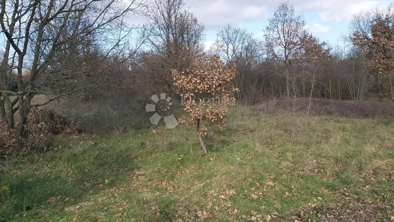 Land Valtura, Ližnjan, 2.477m2 – 2