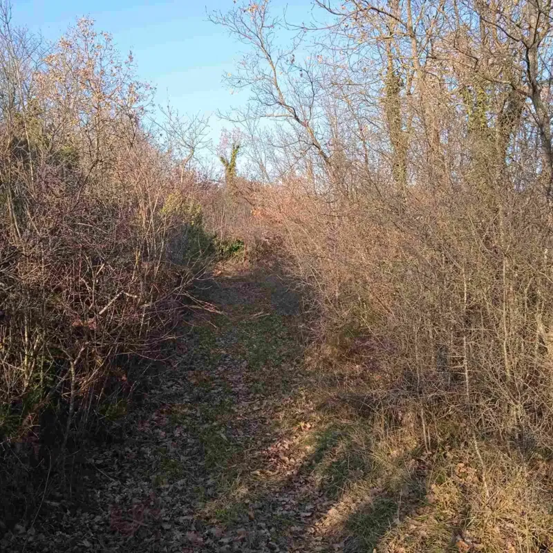 Telek Vodnjan – 3