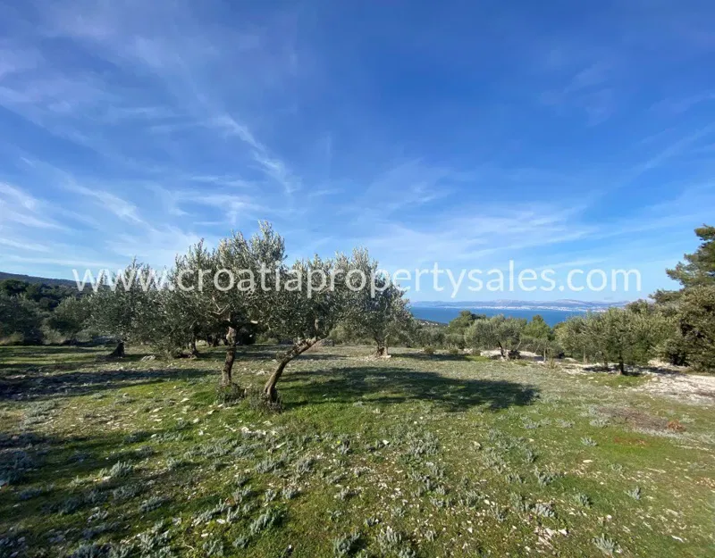 Terreno Brač – 2