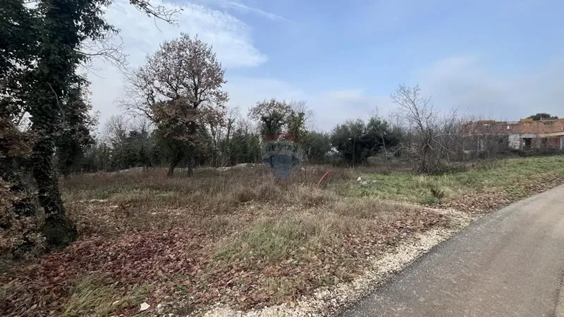 Terreno edificabile Sveti Lovreč, 1.350m2 – 2