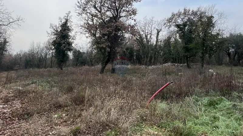 Terreno edificabile Sveti Lovreč, 1.350m2 – 3
