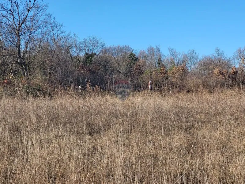 Building plot Barban, 6.708m2 – 2