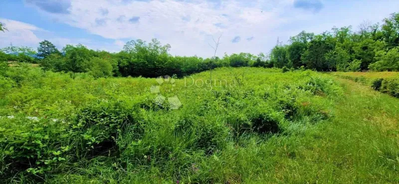 Föld Labin, 2.710m2 – 2