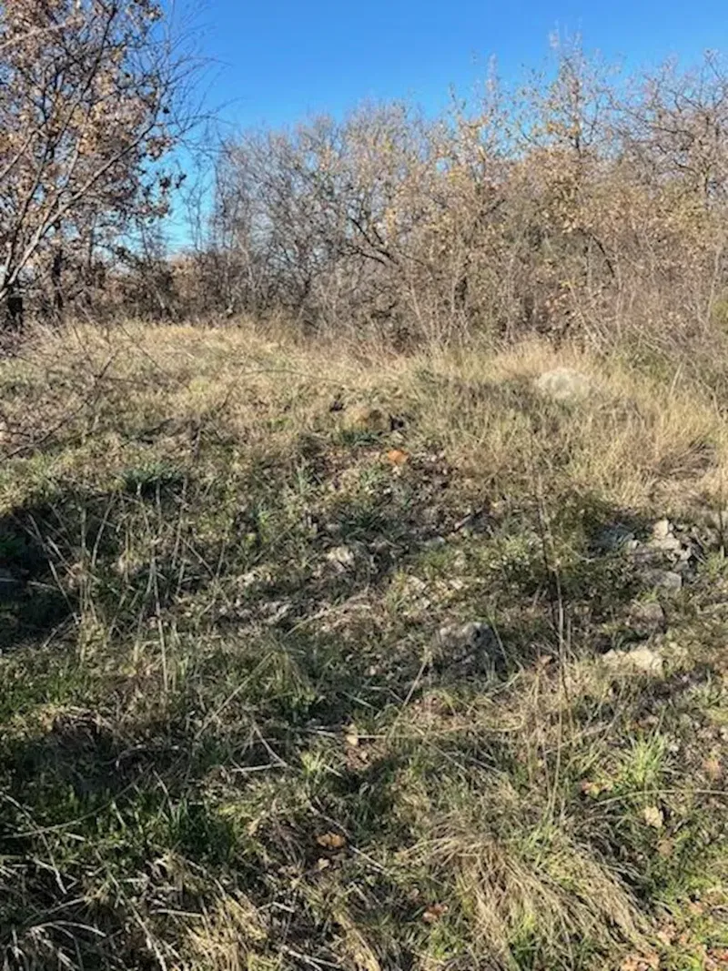 Land Suhovare – 3