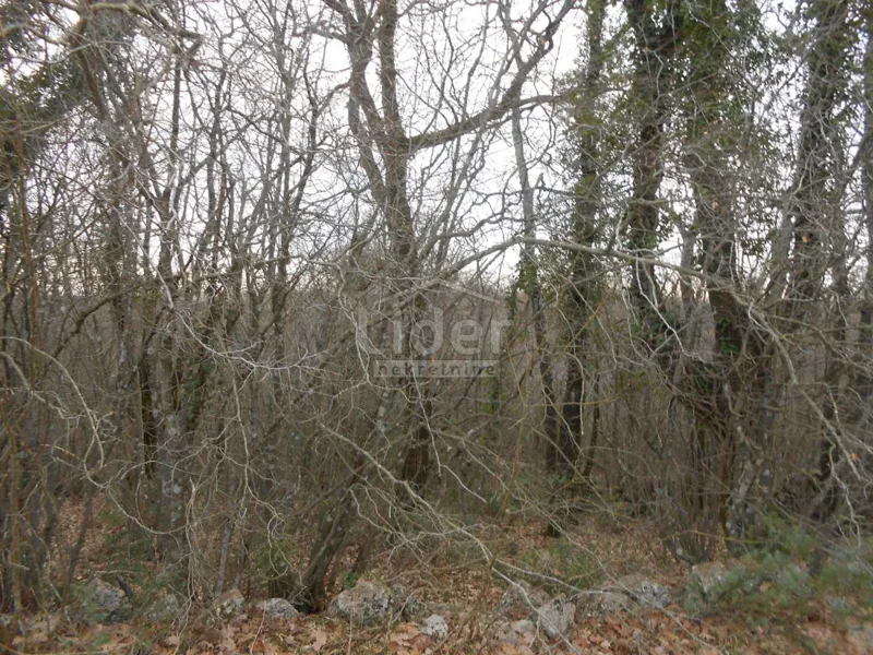 Zemljišče Sužan, 2841m2 – 2