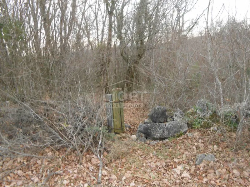 Zemljišče Sužan, 2841m2 – 3
