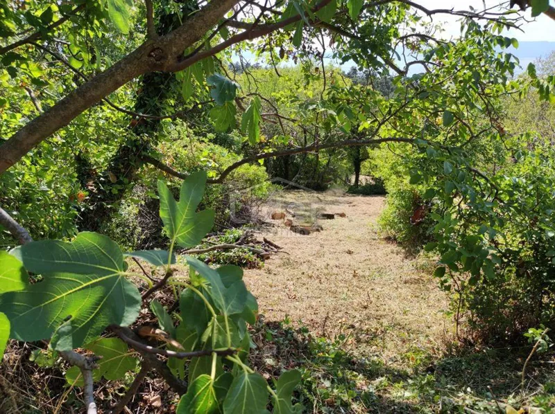 HRELJIN Zemljište od 1665 m2 s ruševinom – 2