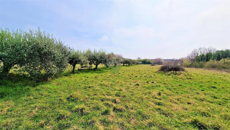Terreno edificabile Umag, 1.367m2 – 2