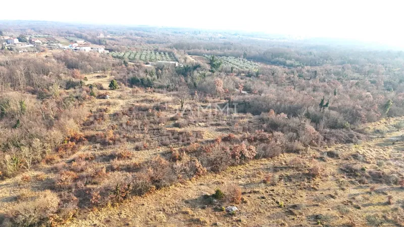 ISTRIA, SVETVINČENAT - Ampio terreno per il turismo – 3