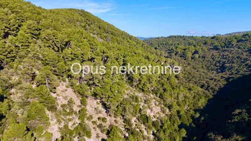 KORČULA, SMOKVICA - large agricultural land by the sea (Video) – 2