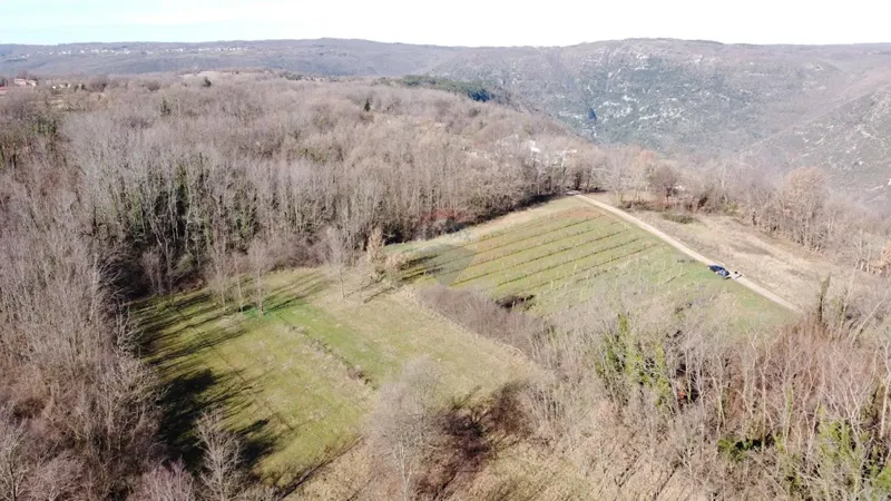 Building plot Labin, 5.750m2 – 2