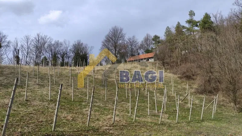 Agricultural land Bednja, 2.500m2 – 2