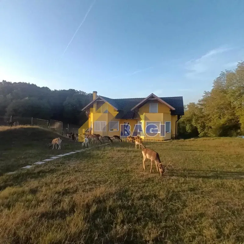 House Donji Prnjarovec, Križ, 120m2 – 2