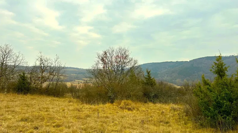 Non-structural plot Završje, Grožnjan, 2.284m2 – 2