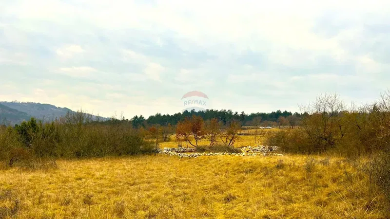 Non-structural plot Završje, Grožnjan, 2.284m2 – 3