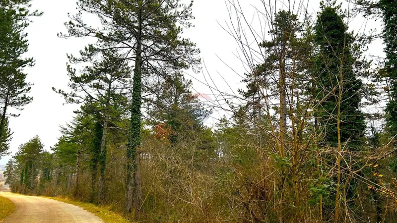 Działka Završje – 2