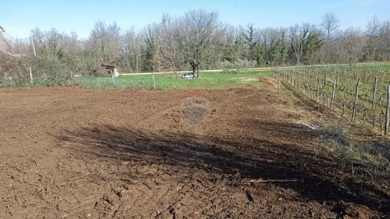 Building plot Vrh Lašići, Vižinada, 1.045m2 – 2