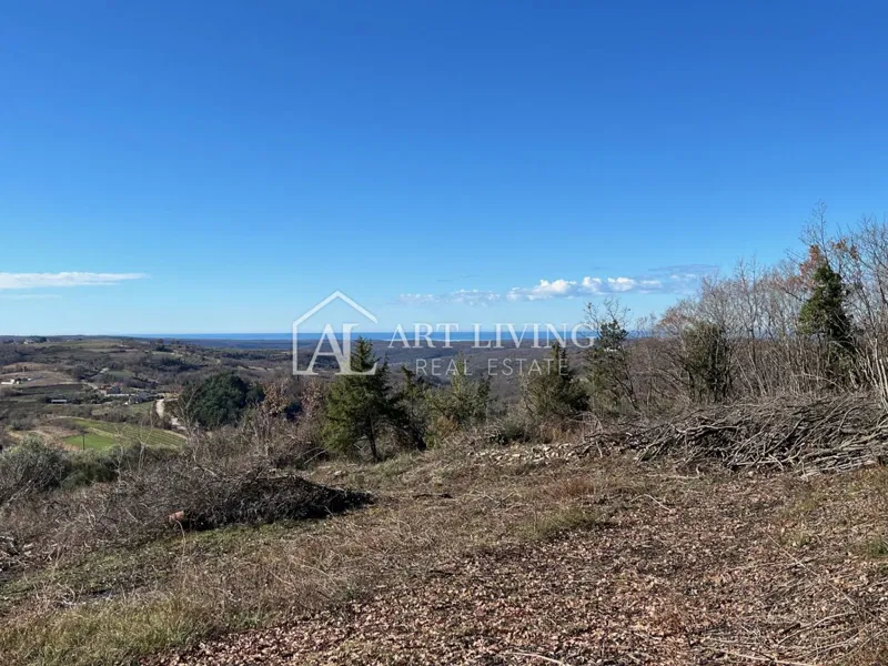 ISTRA, GROŽNJAN, okolica - lepo gradbeno zemljišče z odprtim panoramskim pogledom na morje – 3