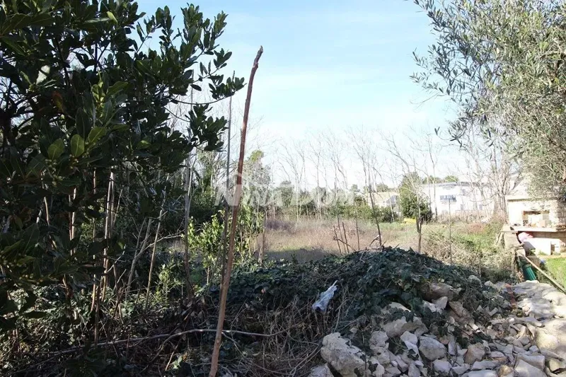 Terreno Vir – 2