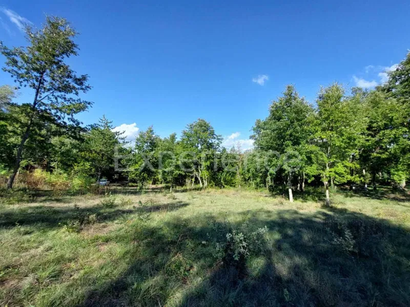 Višnjan: building (3,337 m²) and agricultural (10,057 m²) land! – 3