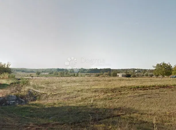Land Višnjan, 8.900m2 – 2