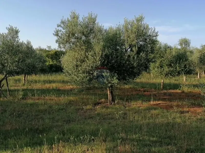 Non-structural plot Vodnjan, 5.948m2 – 2
