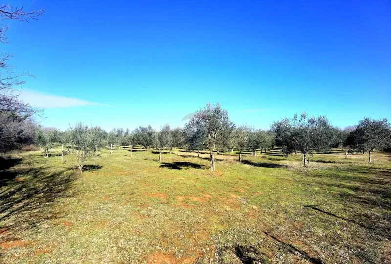 Non-structural plot Vodnjan, 5.948m2 – 3