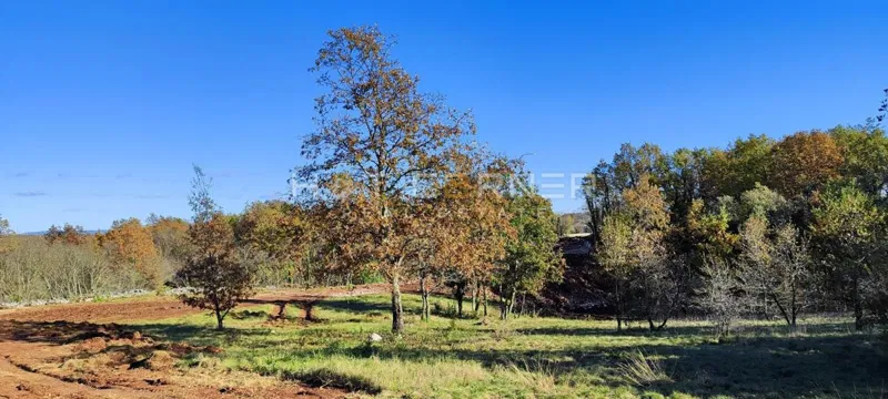 Gradbeno zemljišče Rojnići, Barban, 5.500m2 – 3