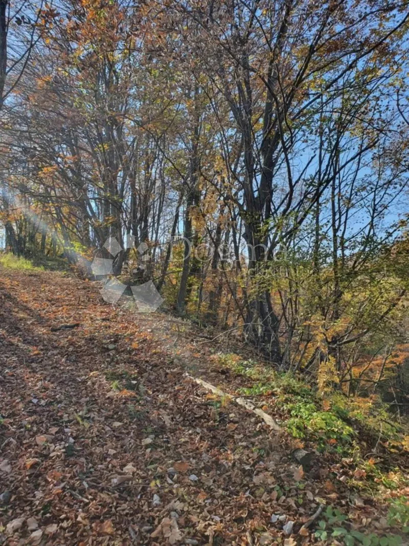 Föld Modruš, Josipdol, 44.679m2