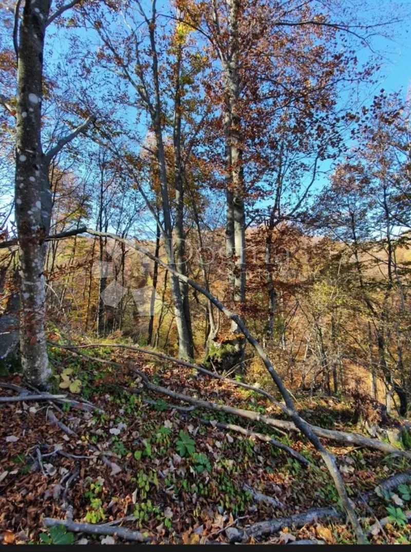 Föld Modruš, Josipdol, 44.679m2 – 2