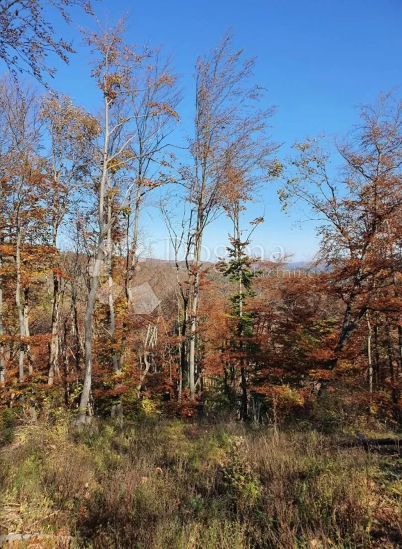 Föld Modruš, Josipdol, 44.679m2 – 3