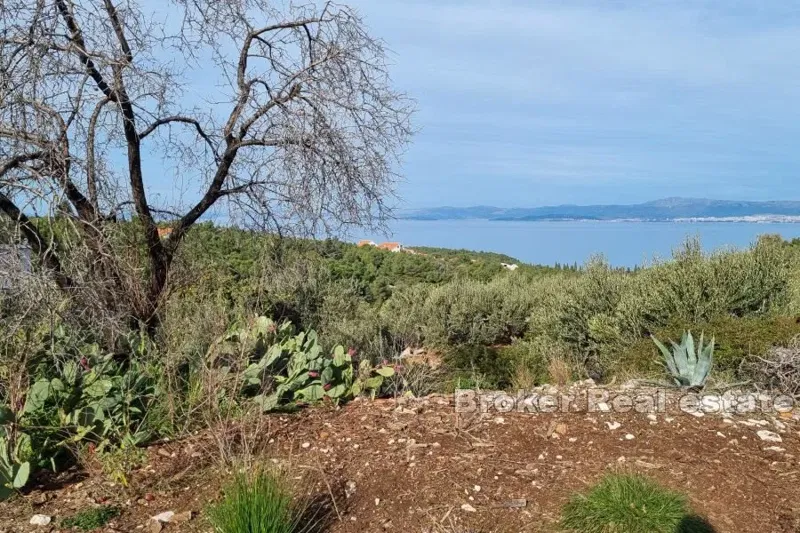 Telek Brač – 2