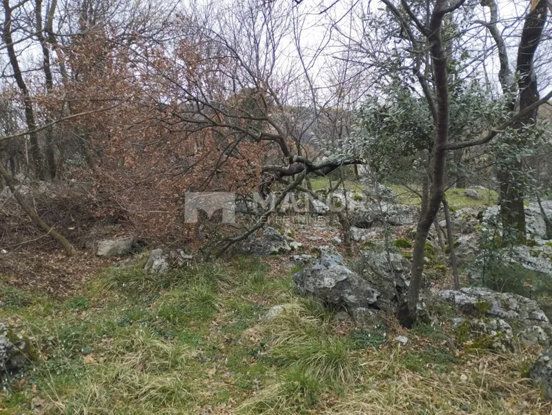 Terreno edificabile Buzdohanj, Čavle, 5.000m2 – 2
