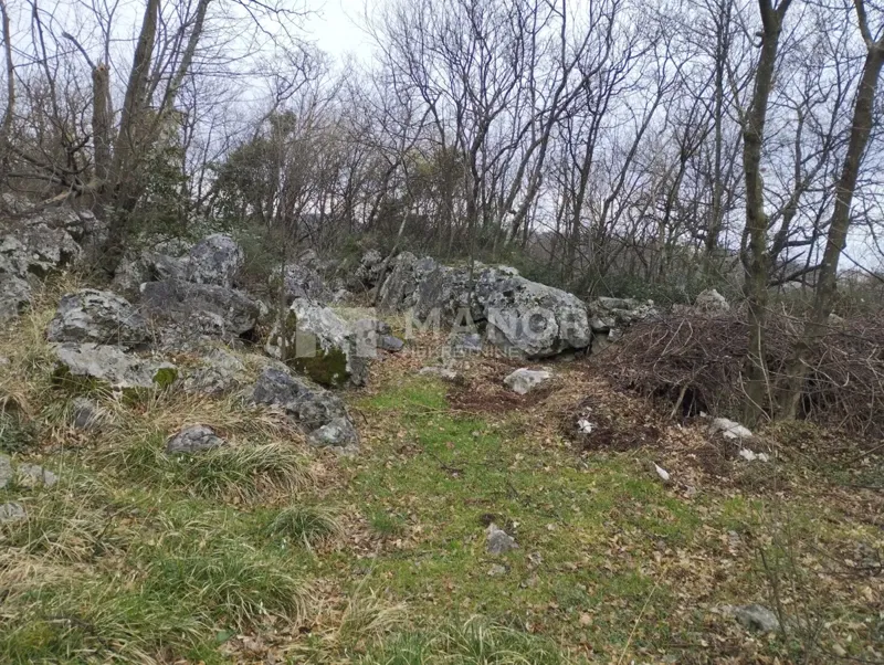 Terreno edificabile Buzdohanj, Čavle, 5.000m2 – 3