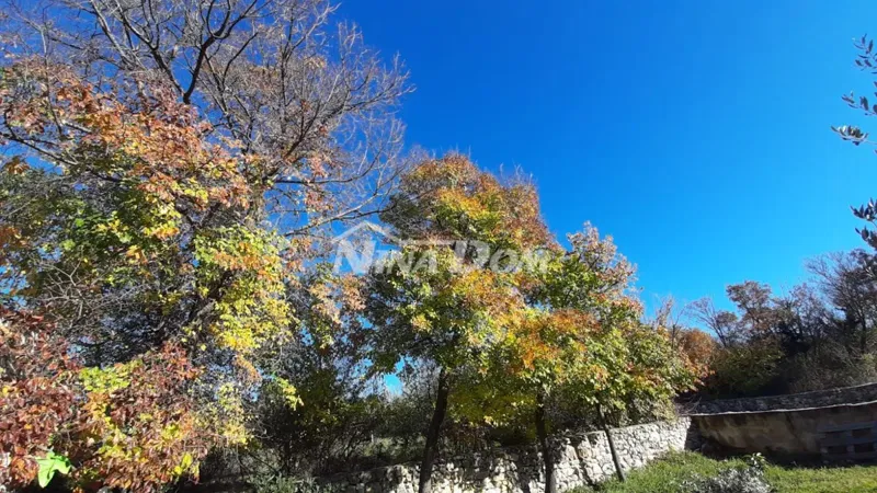 Croazia – Dalmazia – Zona di Zara | Terreno edificabile con uliveto – 2