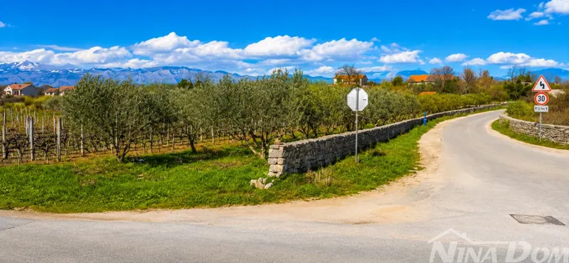Croazia – Dalmazia – Zona di Zara | Terreno edificabile con uliveto – 3