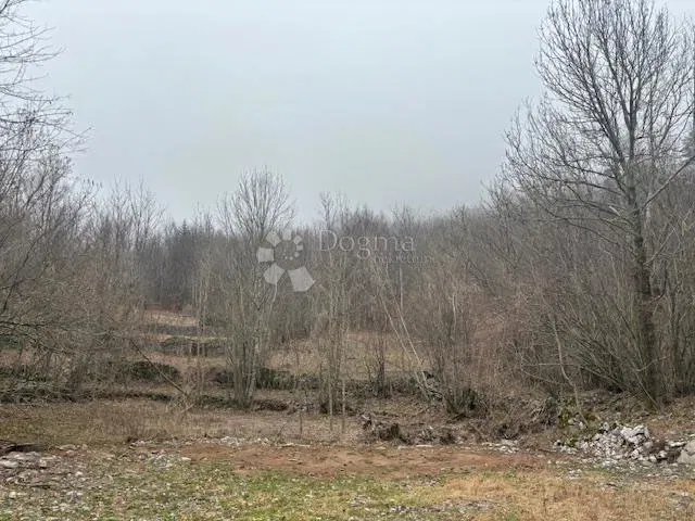 Land Zlobin, Bakar, 12.018m2 – 3