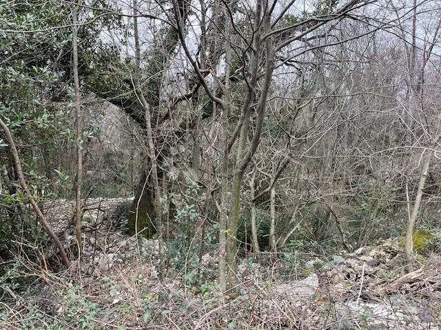 Föld Grižane-Belgrad, Vinodolska Općina, 521,50m2 – 2